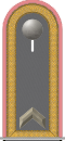hd_h_31a_fahnrich_pi.svg