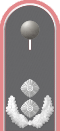 hd_h_52_oberstleutnant_hfla.svg